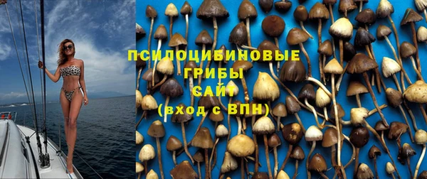 Альфа ПВП Лабытнанги