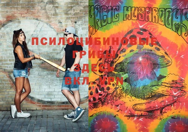 ешки Ладушкин